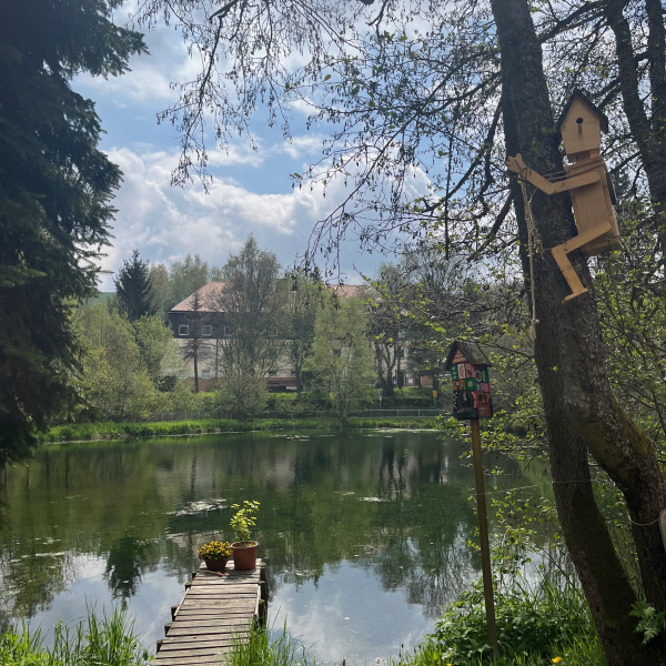 Bootssteg des großes Teiches