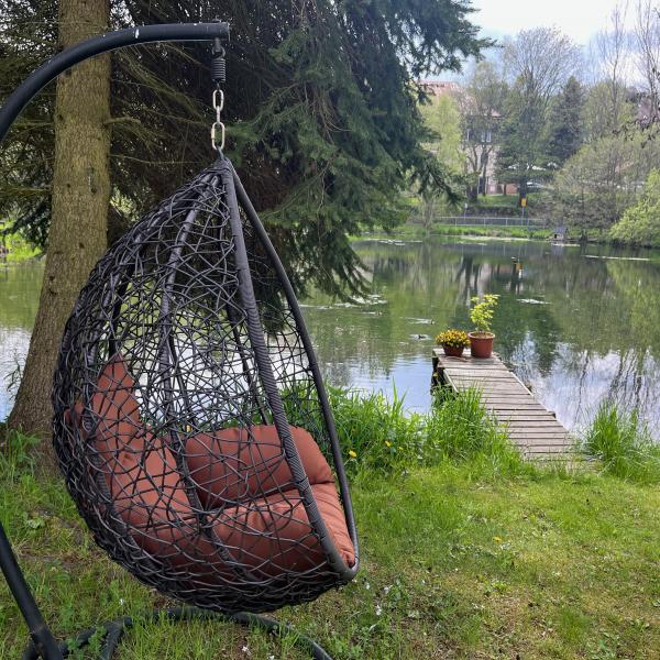 Hängeschaukel am großen Teich