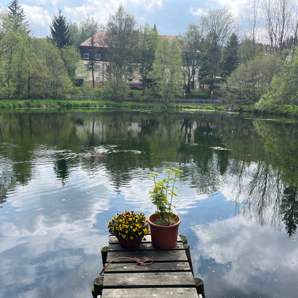 Bootssteg und Teich mit Blick auf Tschechien
