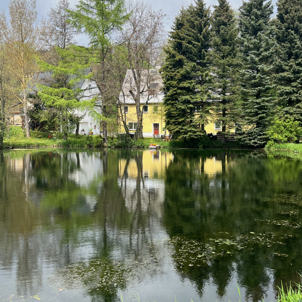 Großer Teich und Blick auf die Brunnermühle vom Mühlenragweg