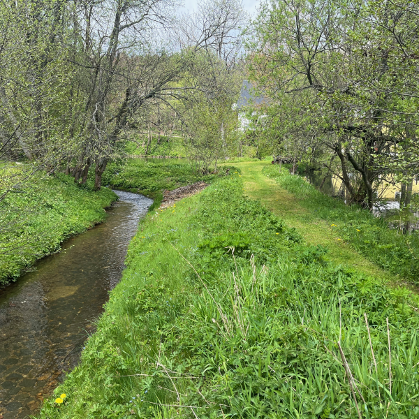 Pöhlbach und Grenze zu Tschechien