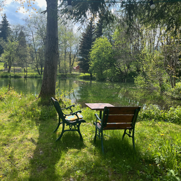 Sitzgelegenheit am kleinen Teich