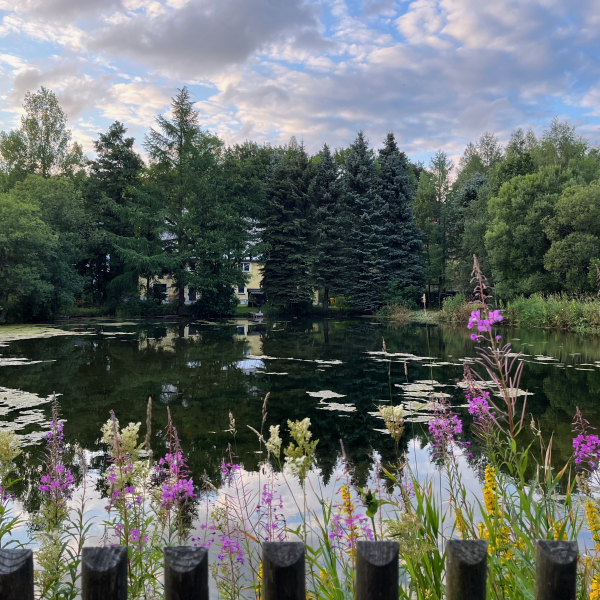 Blick vom Mühlenradweg auf den großen Teich