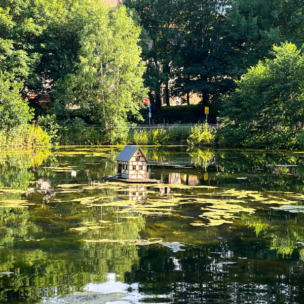 Großer Teich mit Entenhaus