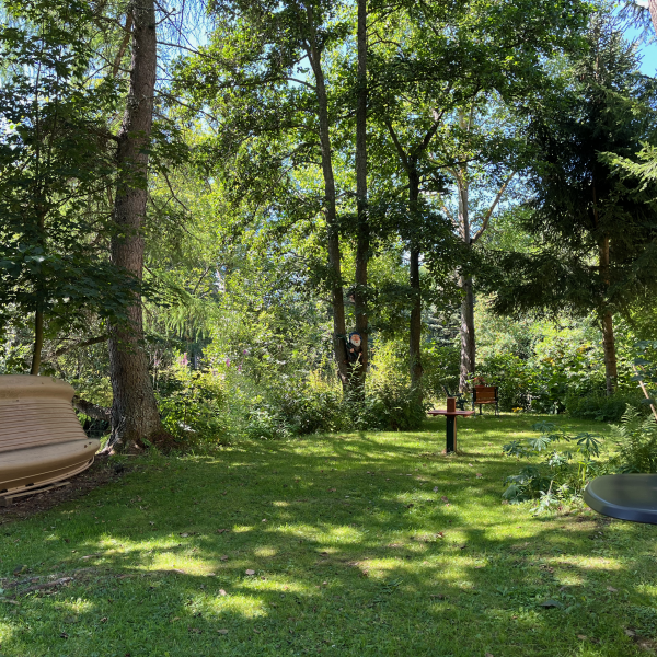 Blick auf die Wiese vor dem Haus