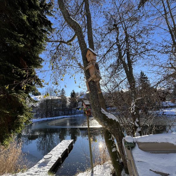 Großer Teich im Winter