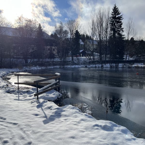 Teich im Winter